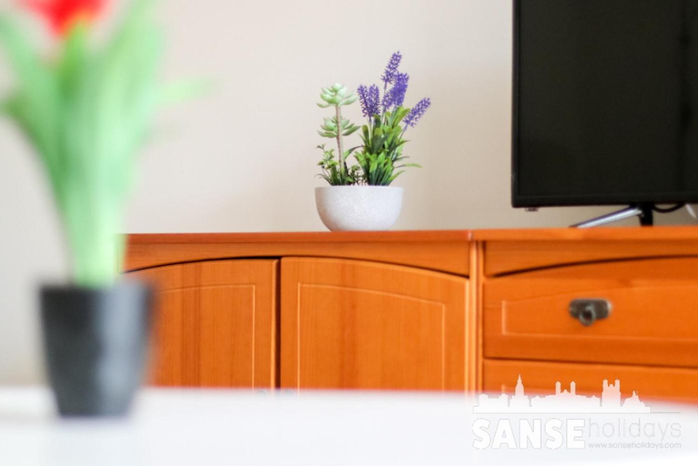 Apartamento Colon By Sanse Holidays サン・セバスティアン エクステリア 写真